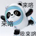 冬奥会微信冰墩墩熊猫头铁憨憨表情包